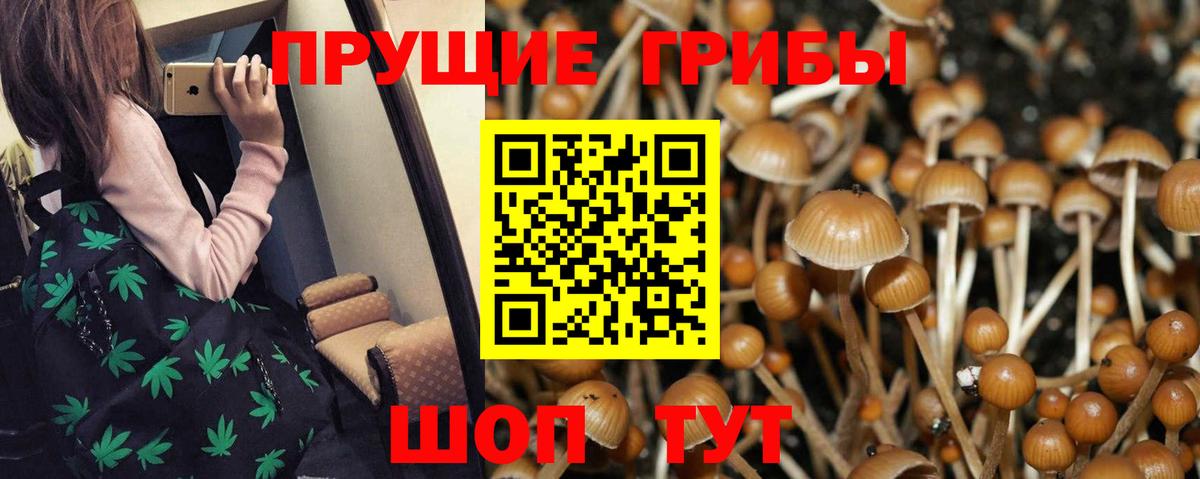 Кострома  Галлюциногенные грибы MAGIC MUSHROOMS  Вход с VPN 